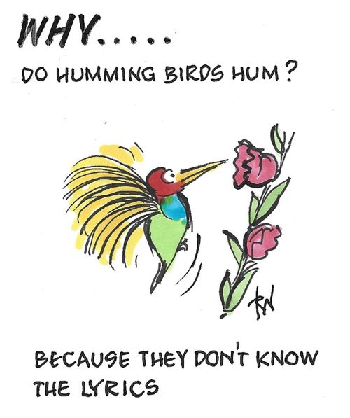 "Why do humming birds hum? Because they don't know the lyrics."