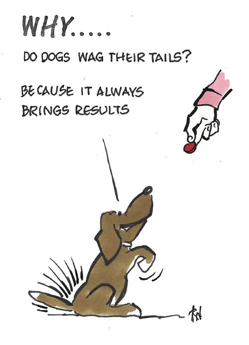 "Why do dogs wag their tails? Because it always brings results."