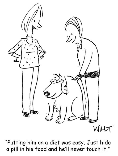"Putting him on a diet was easy. Just hide a pill in his food and he'll never touch it."