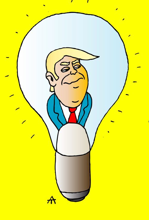 Donald Trump Lightbulb