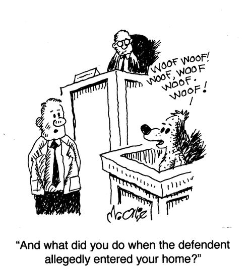 "And what did you do when the defendent allegedly entered your home?"