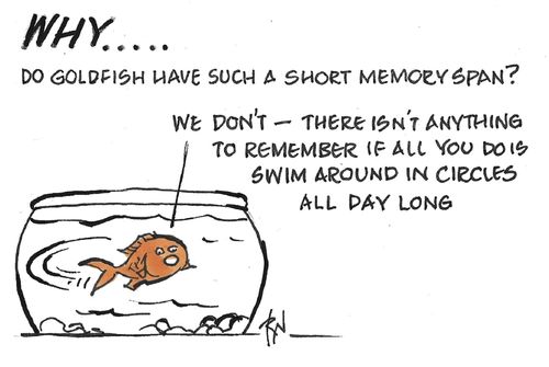 "Why... do goldfish have such a short memory span? We don't – there isn't anything to remember if all you do is swim around in circles all day long."