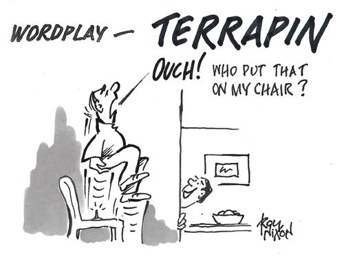 "Wordplay — terrapin. Ouch! Who put that on my chair?"