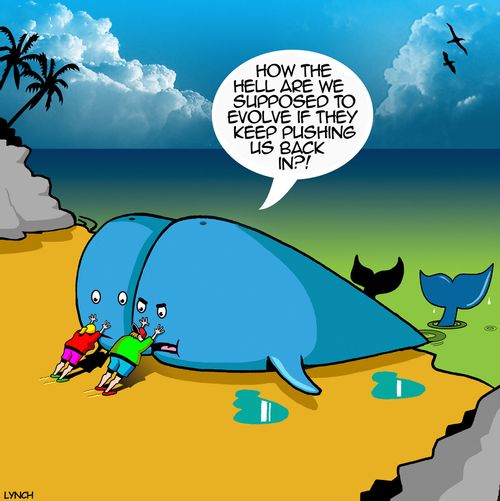 "How the hell are we supposed to evolve if they keep pushing us back in?!"