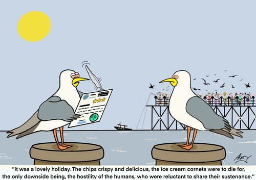 "It was a lovely holiday. The chips crispy and delicious, the ice cream cornets were to die for, the only downside being, the hostility of the humans, who were reluctant to share their sustenance."
