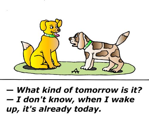 "What kind of tomorrow is it? — I don't know, when I wake up, it's already today."