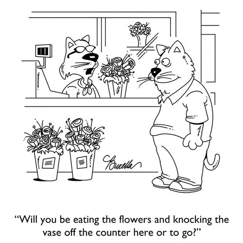 "Will you be eating the flowers and knocking the vase off the counter here or to go?"