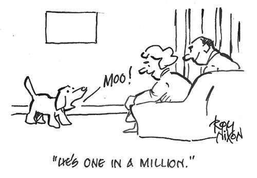"He's one in a million."