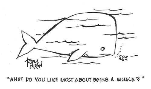 "What do you like most about being a whale?"