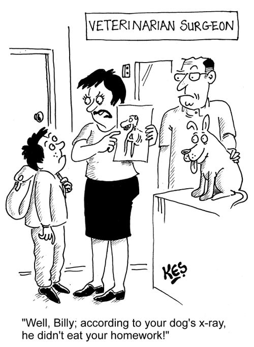 "Well, Billy; according to your dog's x-ray, he didn't eat your homework!"