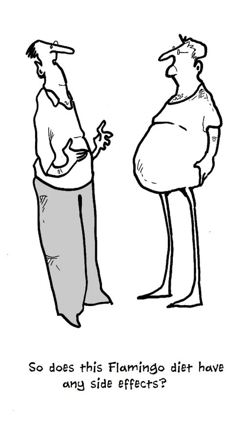 "So does this Flamingo diet have any side effects?"