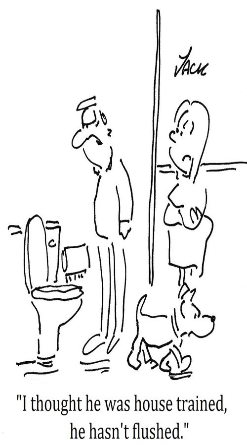 "I thought he was house trained, he hasn't flushed."