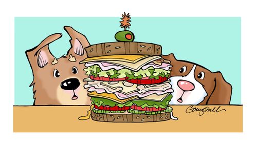 Dog's Sandwich