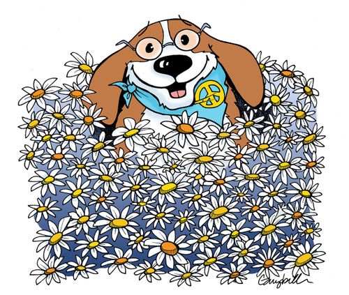 Dog in Daisys