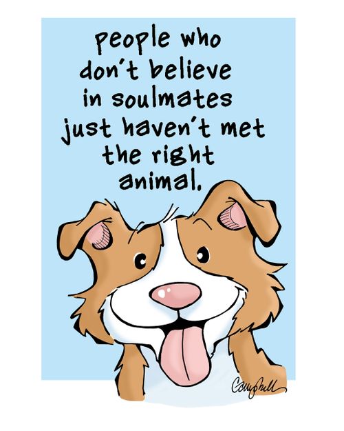 People who don't believe in soulmates just haven't met the right animal.