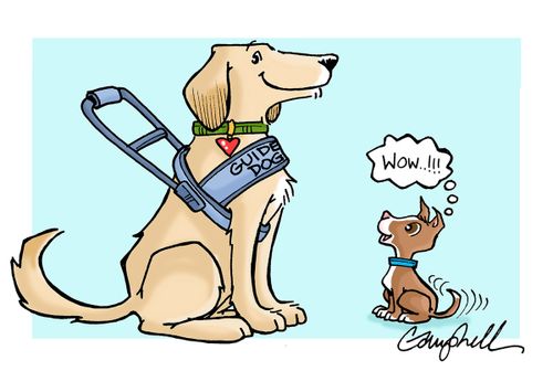 Guide Dogs