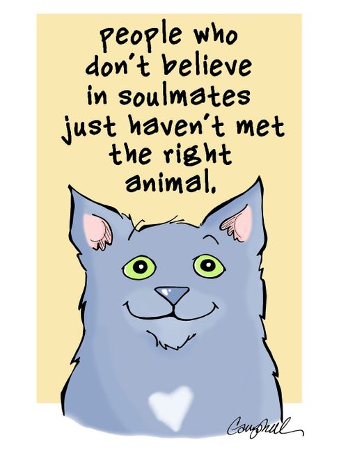 "People who don't believe in soulmates just haven't met the right animal."