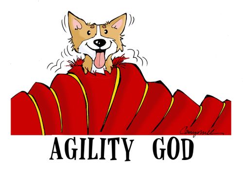 Agility God