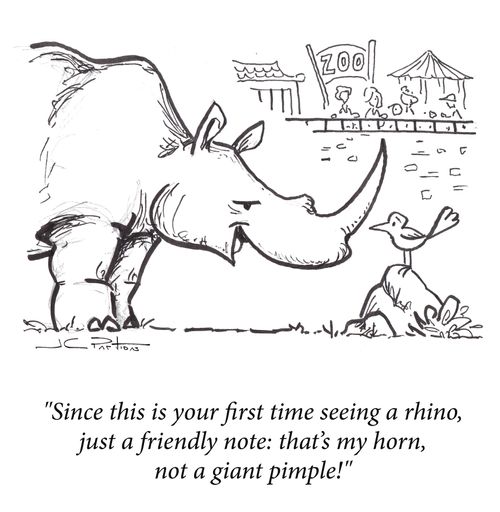 "Since this is your first time seeing a rhino, just a friendly note: that’s my horn, not a giant pimple!"