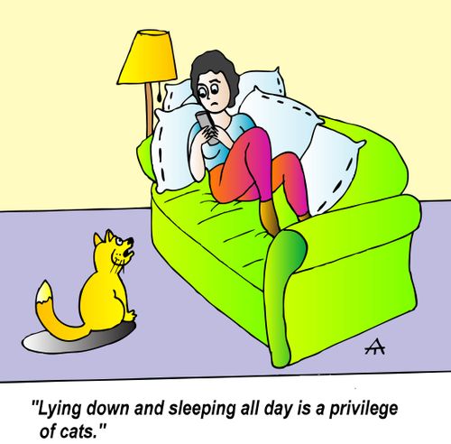 "Lying down and sleeping all day is a privilege of cats."