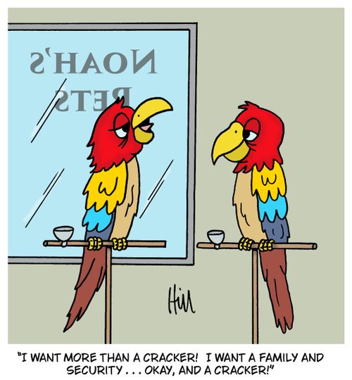 "I want more than a cracker! I want a family and security . . . okay, and a cracker!"