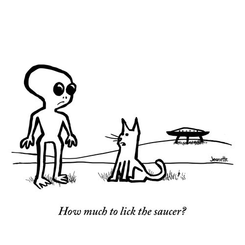 "How much to lick the saucer?"