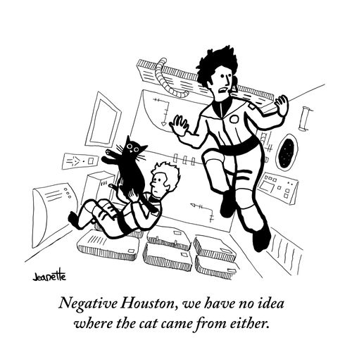 "Negative Houston, we have no idea where the cat came from either."