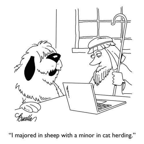 "I majored in sheep with a minor in cat herding."