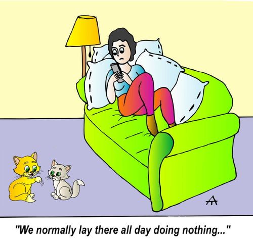 "We normally lay there all day doing nothing..."
