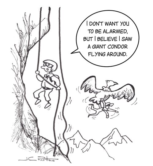 "I don't want you to be alarmed, but I believe I saw a giant condor flying around."