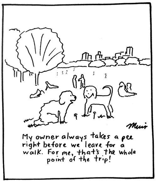 "My owner always takes a pee right before we leave for a walk. For me, that's the whole point of the trip!"