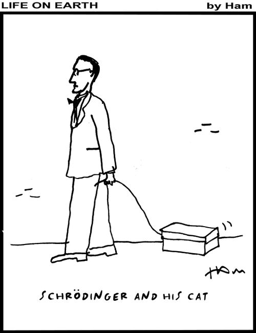Schrödinger and his cat