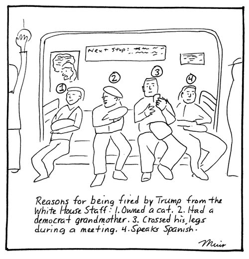 "Reasons for being fired by Trump from the White House staff: 1. Owned a cat. 2. Had a democrat grandmother. 3. Crossed his legs during a meeting. 4. Speaks Spanish."
