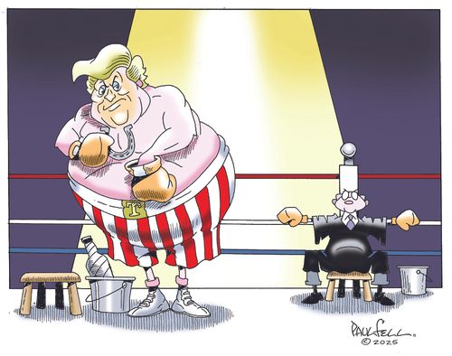 Trump the Boxer