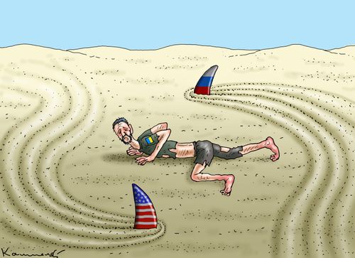 Sharks around Ukraine