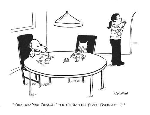 "Tom, did you forget to feed the pets tonight?"