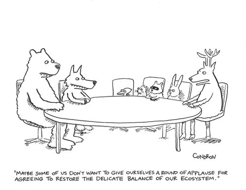 "Maybe some of us don't want to give ourselves a round of applause for agreeing to restore the delicate balance of our ecosystem."