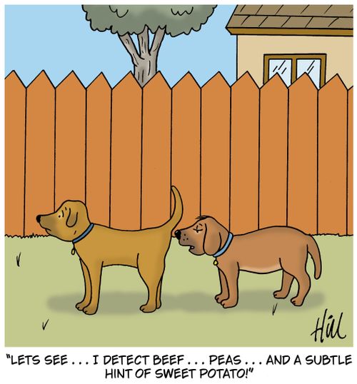 "Let's see . . . I detect beef . . . peas . . . and a subtle hint of sweet potato!"