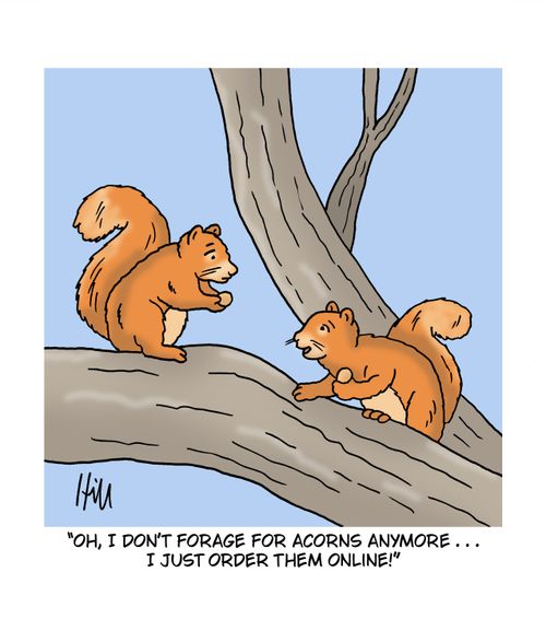 "Oh, I don't forage for acorns anymore....I just order them online!"
