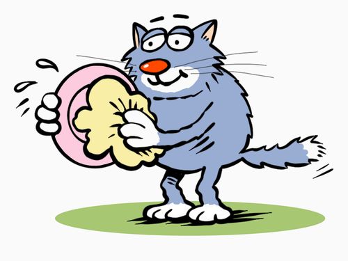 Cat Chores