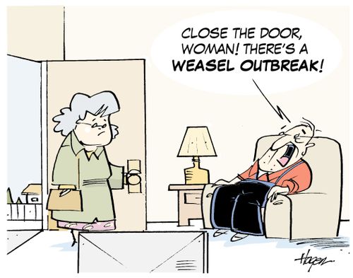 "Close the door woman! There's a weasel outbreak!"