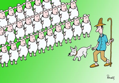 The Flock