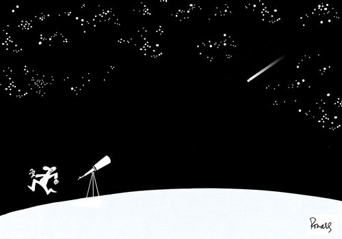 The Star Gazer