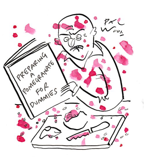 PREPARING A POMEGRANATE FOR DUMMIES