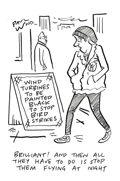 "Brilliant! And then all they have to do is stop them flying at night."