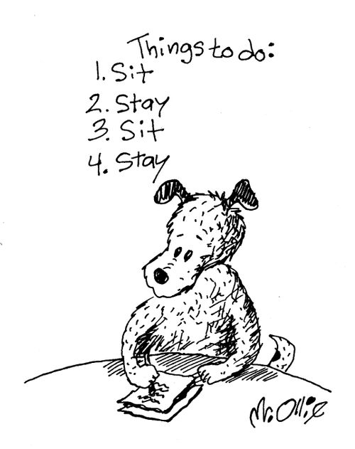 Things to do: 1. Sit 2. Stay 3. Sit 4. Stay