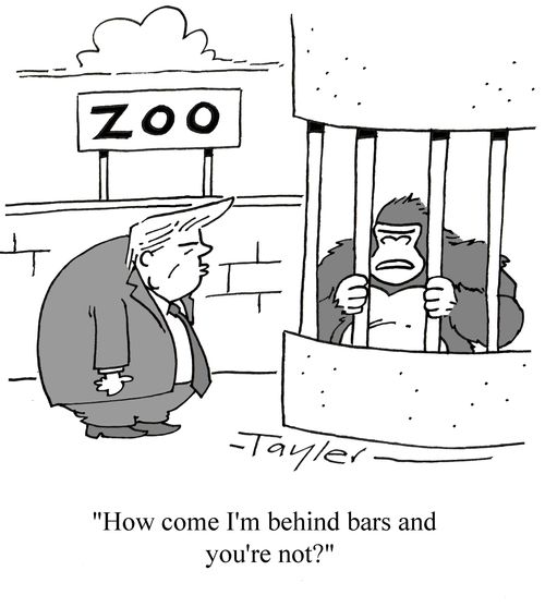 "How come I'm behind bars and you're not?"