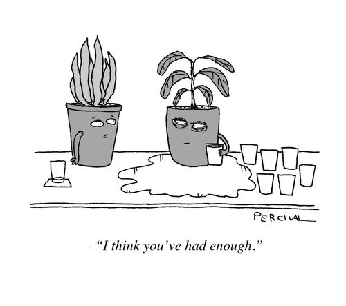 “I think you’ve had enough.”