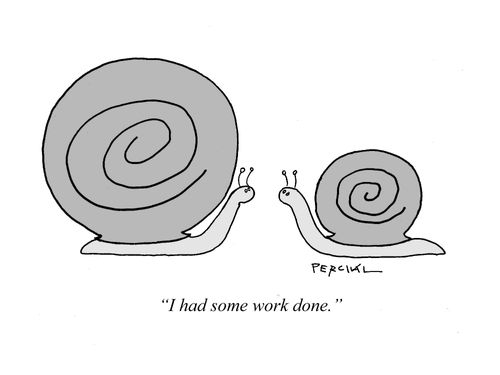 "I had some work done."