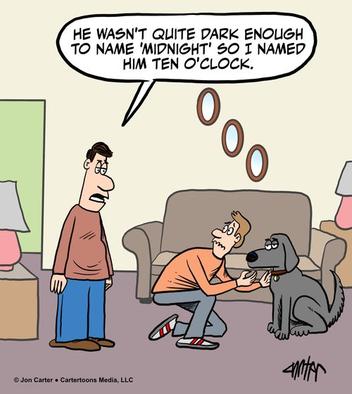 "He wasn't quite dark enough to name 'midnight' so I named him ten o'clock."